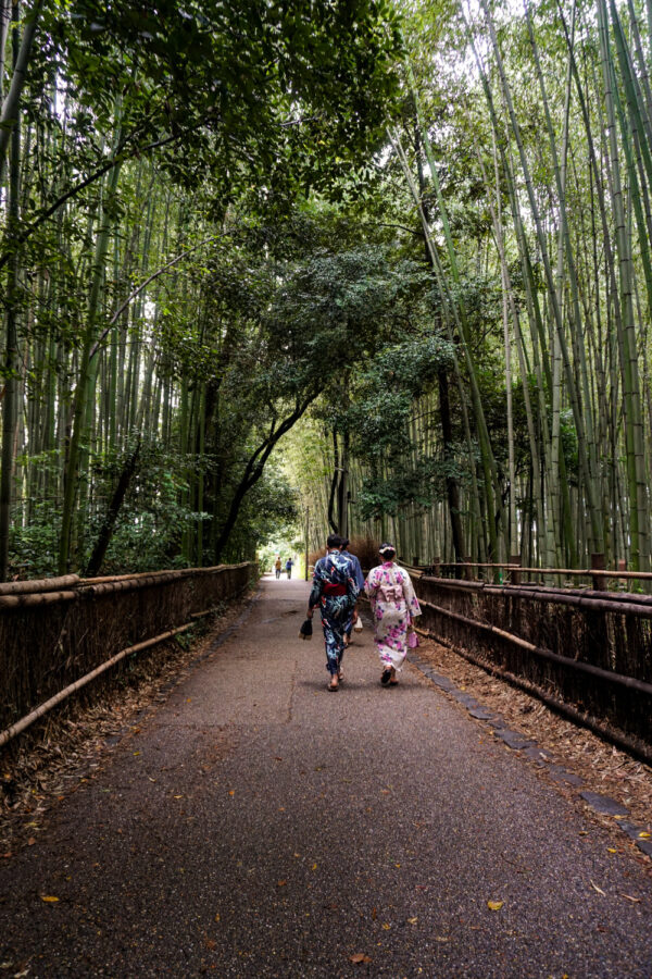 Bambuswald Arashiyama Sehensw Rdigkeiten Anreise