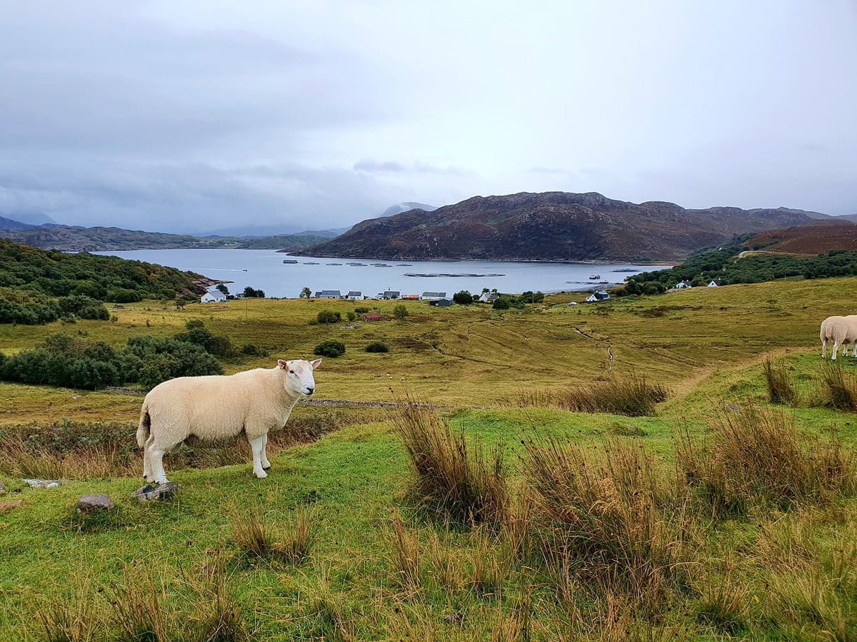 Die schönsten Orte Schottlands Applecross Halbinsel Schottland