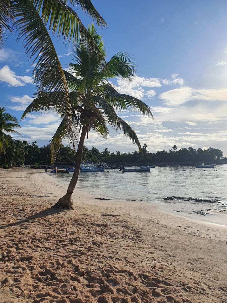 Schnorcheln mit Schildkröten in der Akumal Bucht: Palmen und karibischer Strand