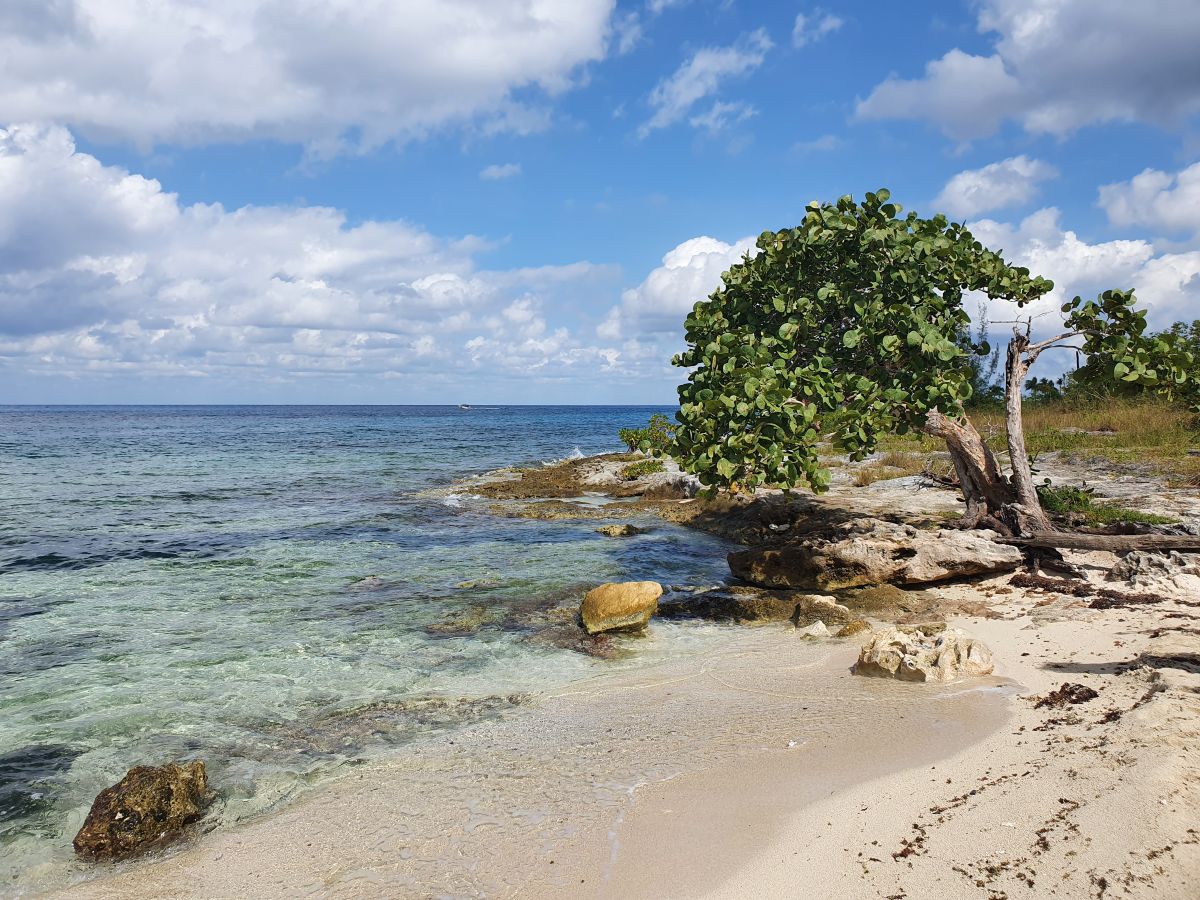Eine kleine Strandbucht auf der Insel Cozumel