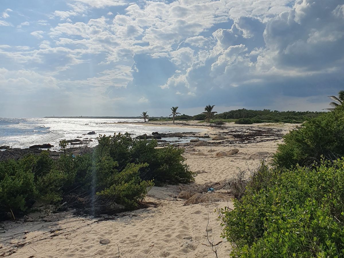 Die Südspitze der Insel Cozumel
