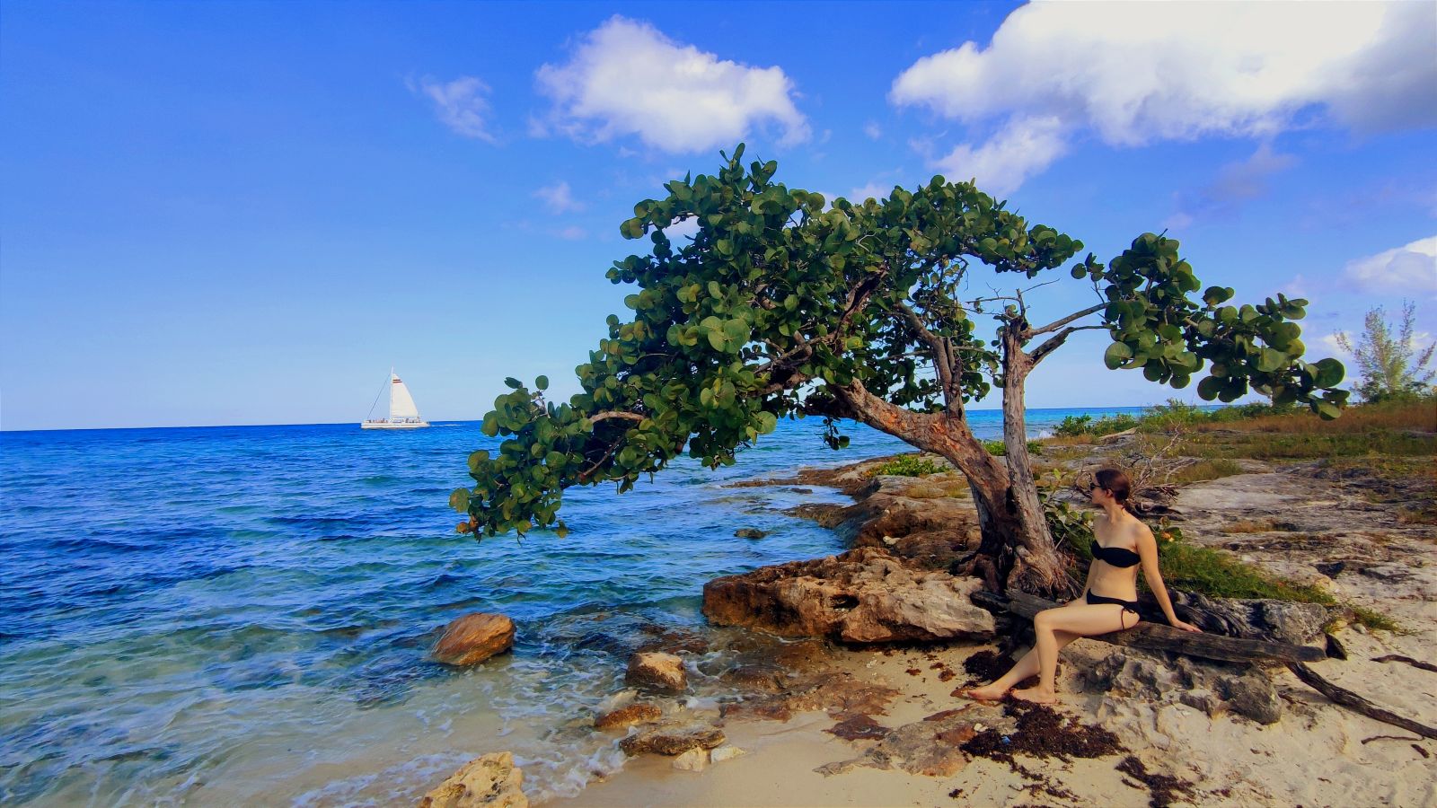 Theresa von Reisekröten auf der Insel Cozumel