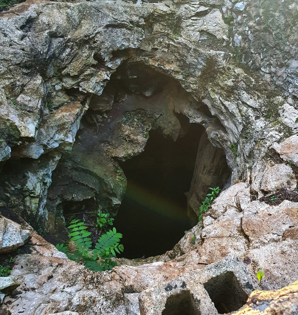 Cenote Öffnung zur Erdoberfläche