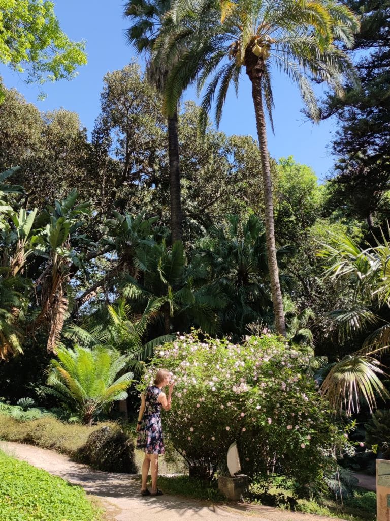 Im Botanischen Garten von Malaga
