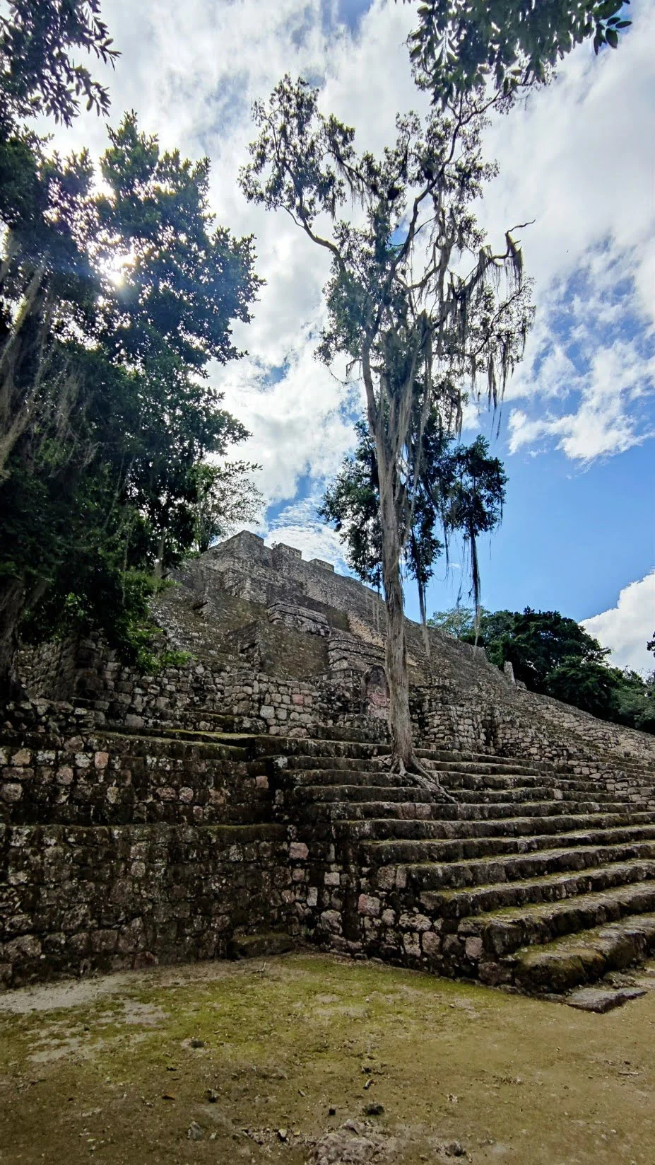 Dschungel von Calakmul Struktur 1