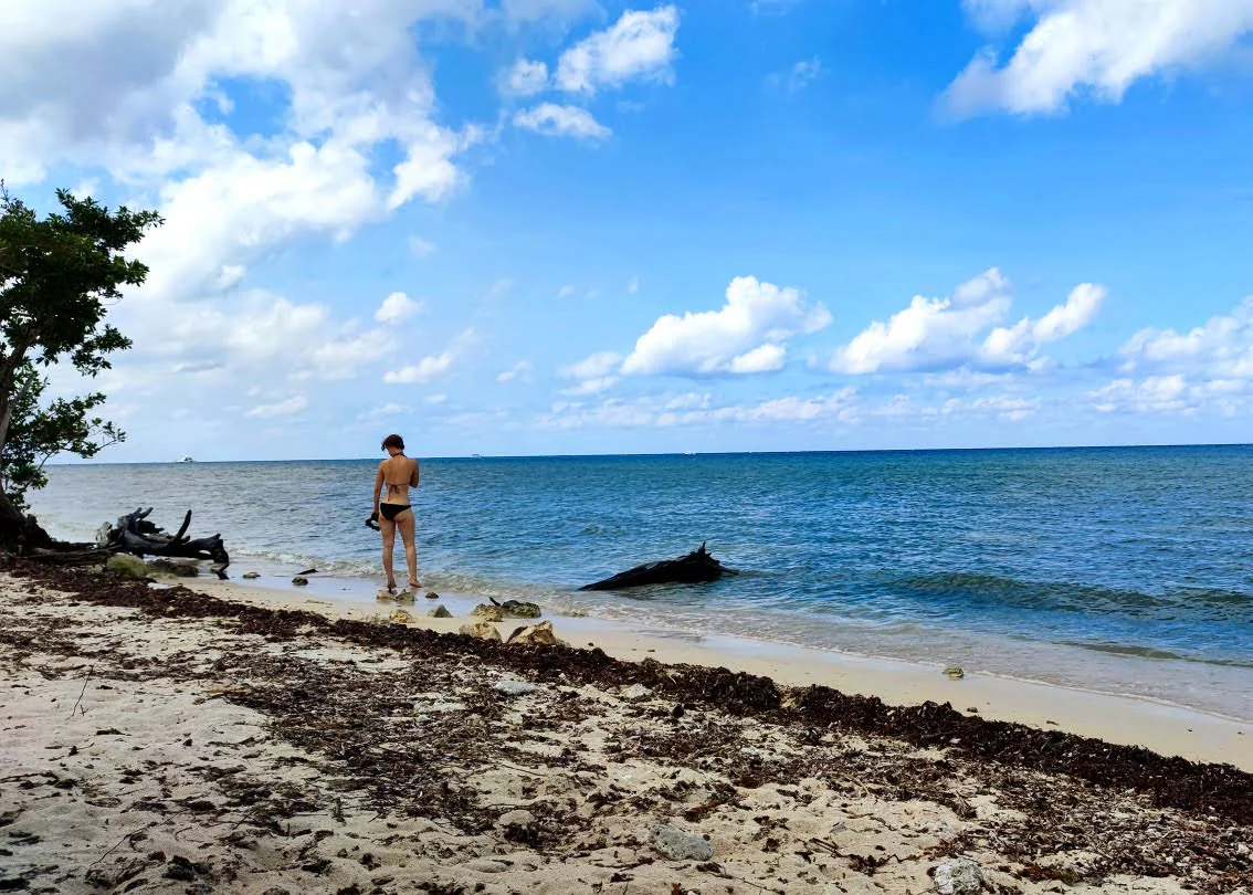 Schnorcheln und Baden auf Cozumel gute Strände und Spots