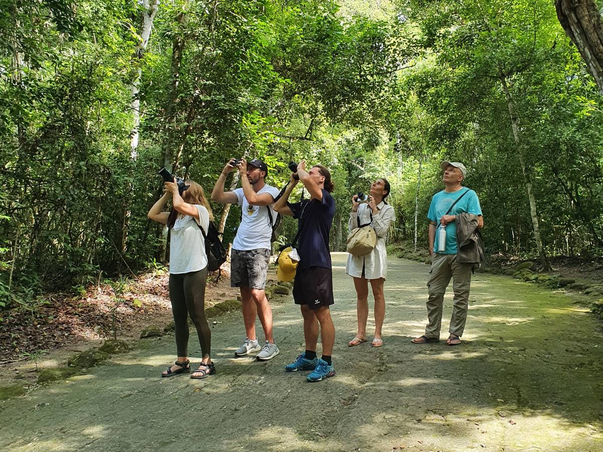 Geführte Tour durch Calakmul ab Bacalar