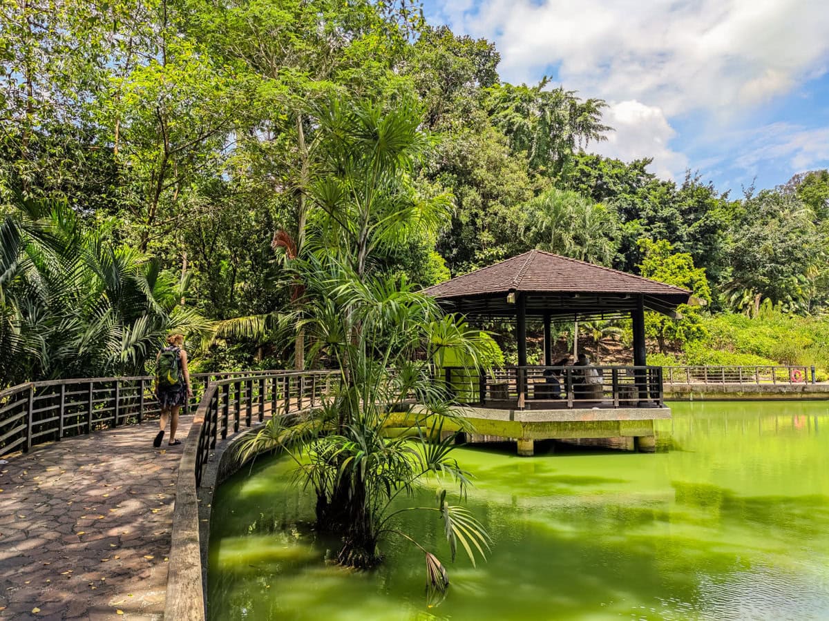 Singapur Botanischer Garten Tiere sehen