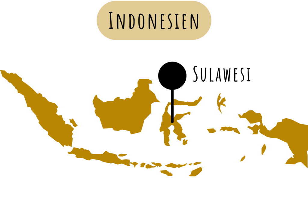Sulawesi Reise Tipps und Infos mit Karte