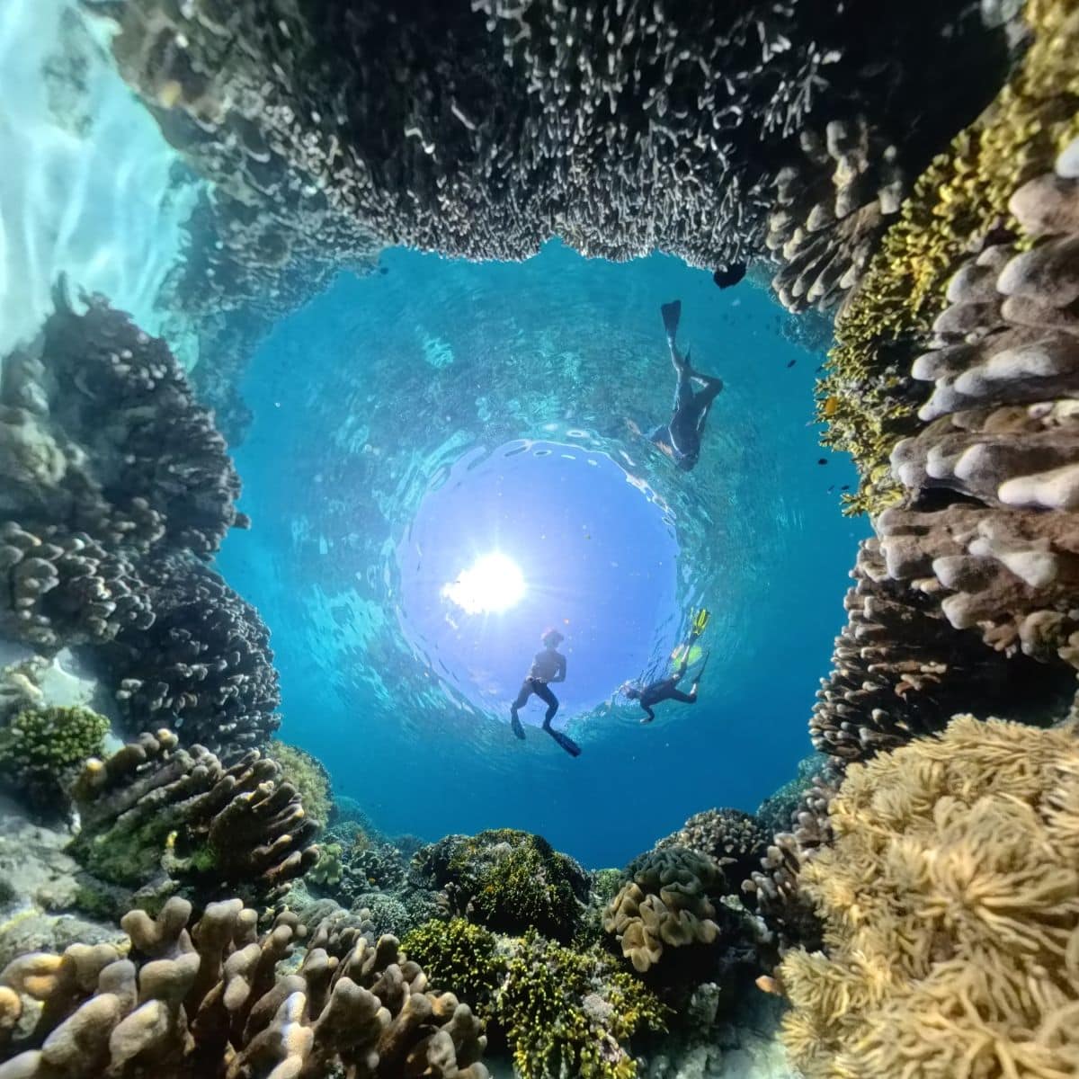Unterwasser beim Schnorcheln auf Bunaken am Steilwand-Korallenriff