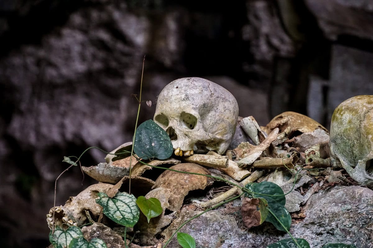 Totenkult in Tana Toraja auf Sulawesi: Unser Reiseführer