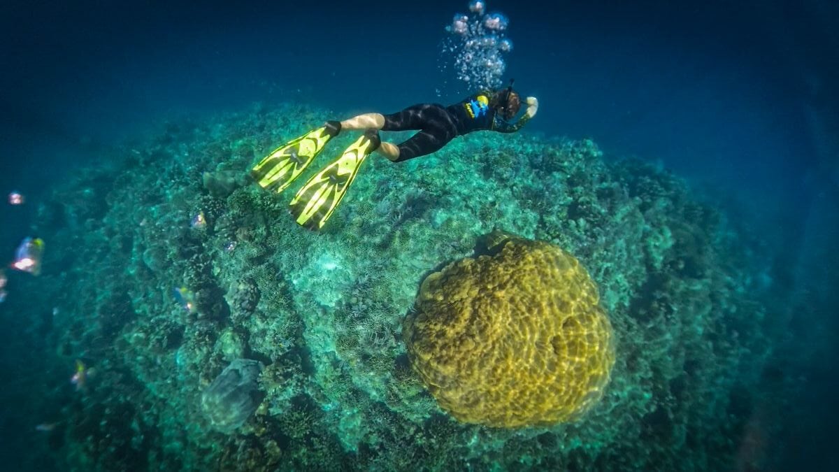 Schnorcheln auf Bunaken Island im Norden von Sulawesi
