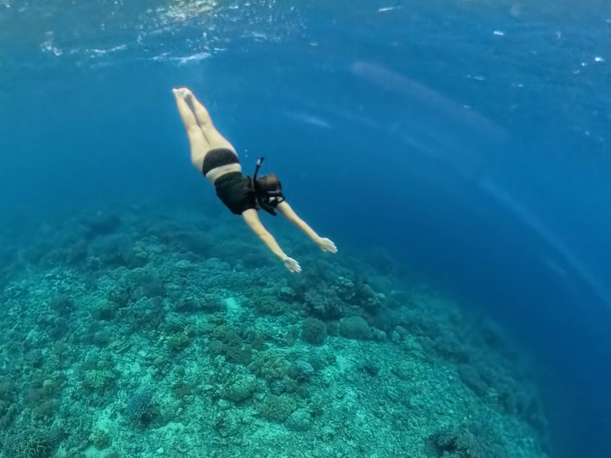 Schnorcheln in Sulawesi