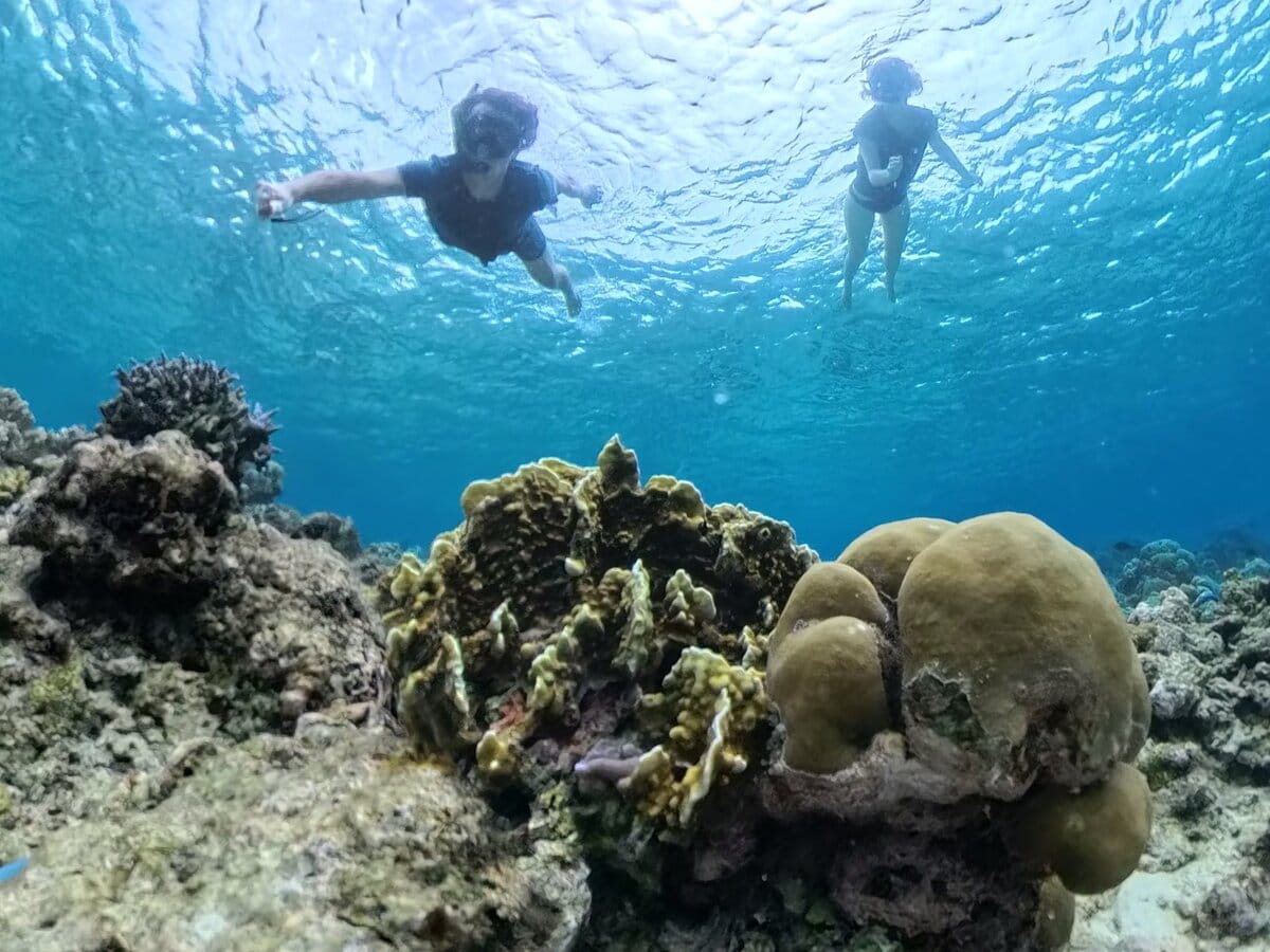 Schnorcheln an der Nordostküste von Sulawesi: Lembeh und Bolsel