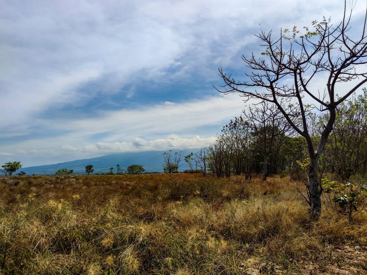 Grasflächen auf Gili Lampu und Gili Kondo