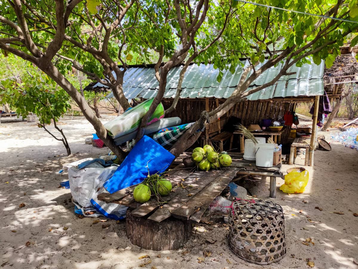 Kokosnüsse auf Gili Kondo, Lombok, Indonesien