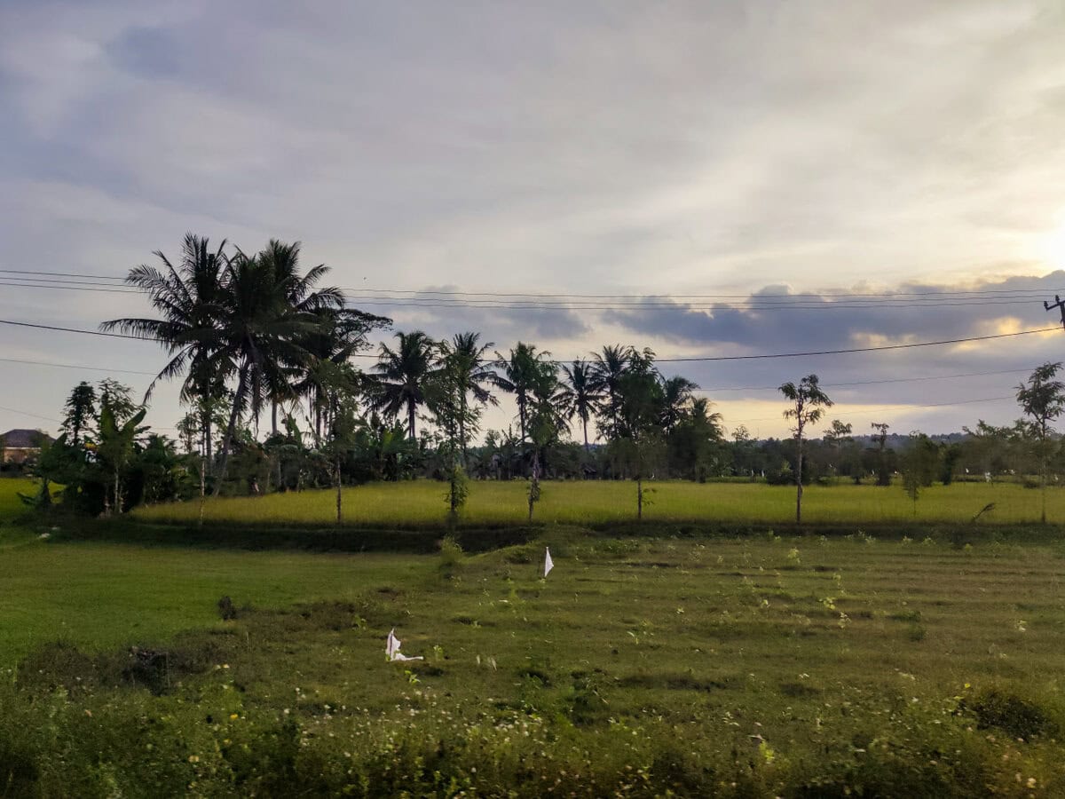 Blick auf landwirtschaftliche Felder im Inselinneren von Lombok