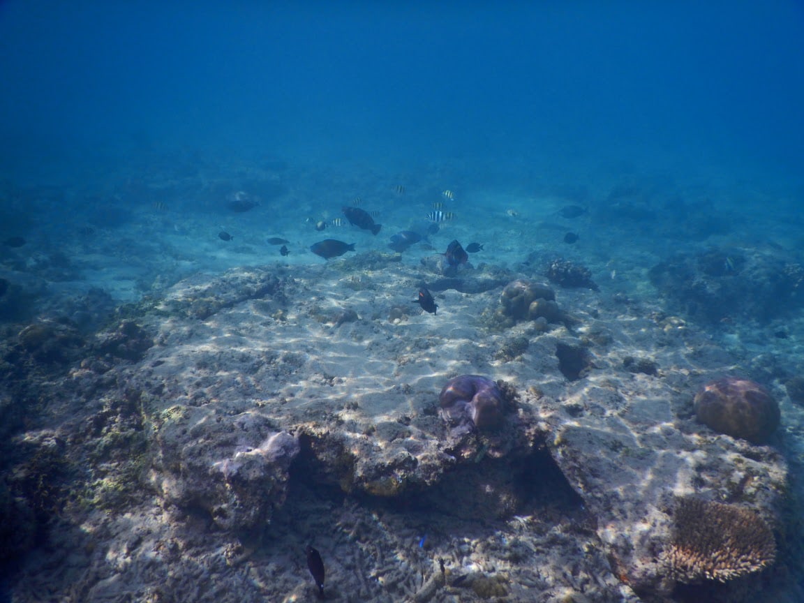 Unterwasserwelt vor den Gili Inseln
