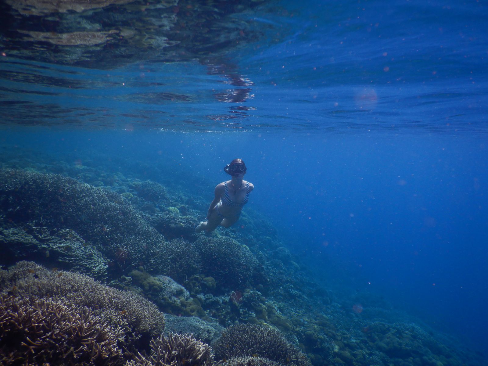 Theresa von Reisekröten beim Schnorcheln im Osten von Lombok