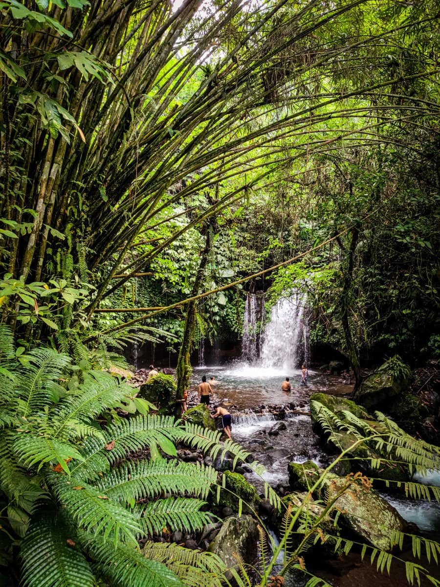Wasserfall im Dschungel