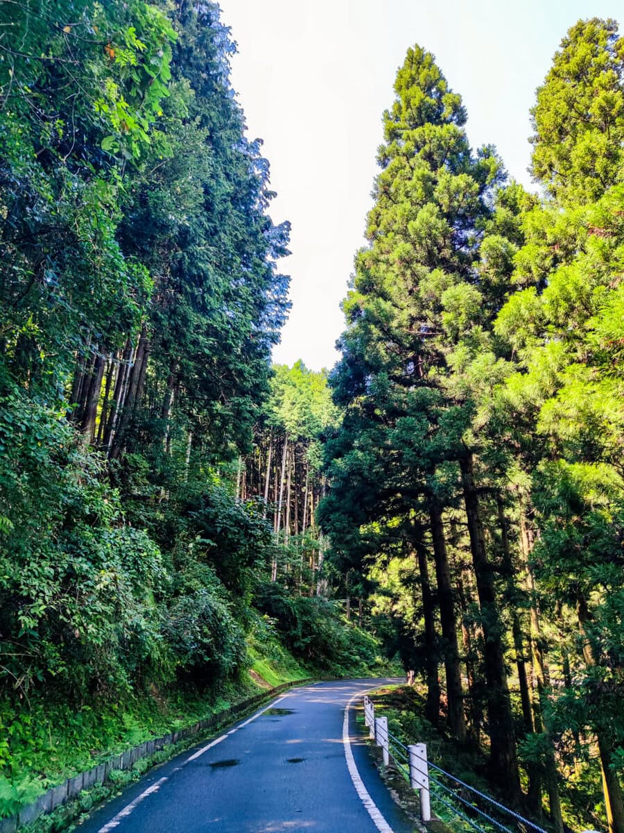 Fußweg zum Takeda Castle