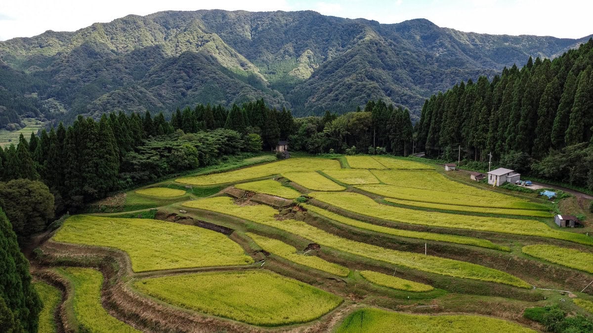 Ueyama Rice Terraces im September 2023