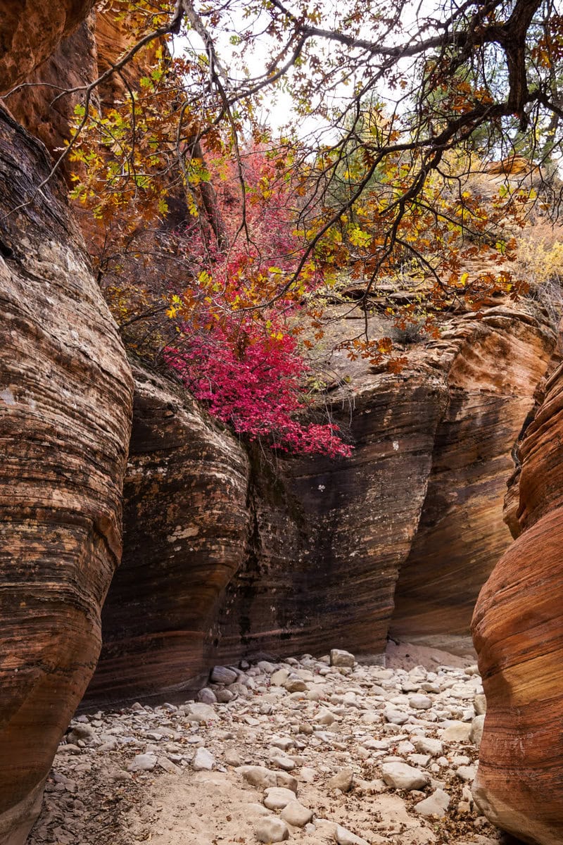 Geheimer Slot Canyon im Zion Nationalpark