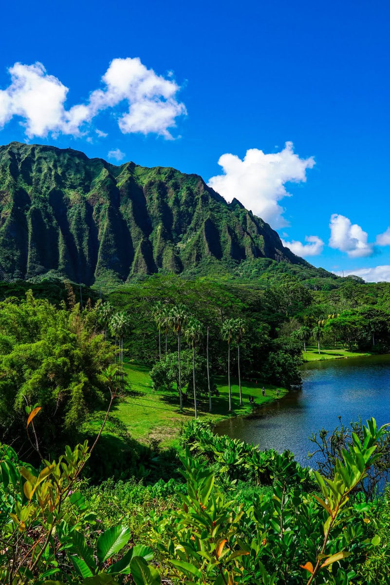 Botanischer Garten auf Oahu, Hawaii: Unser Geheimtipp im Grünen