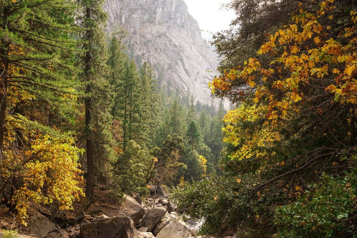 USA Reise im Herbst: Laubfärbung im Oktober im Yosemite Nationalpark