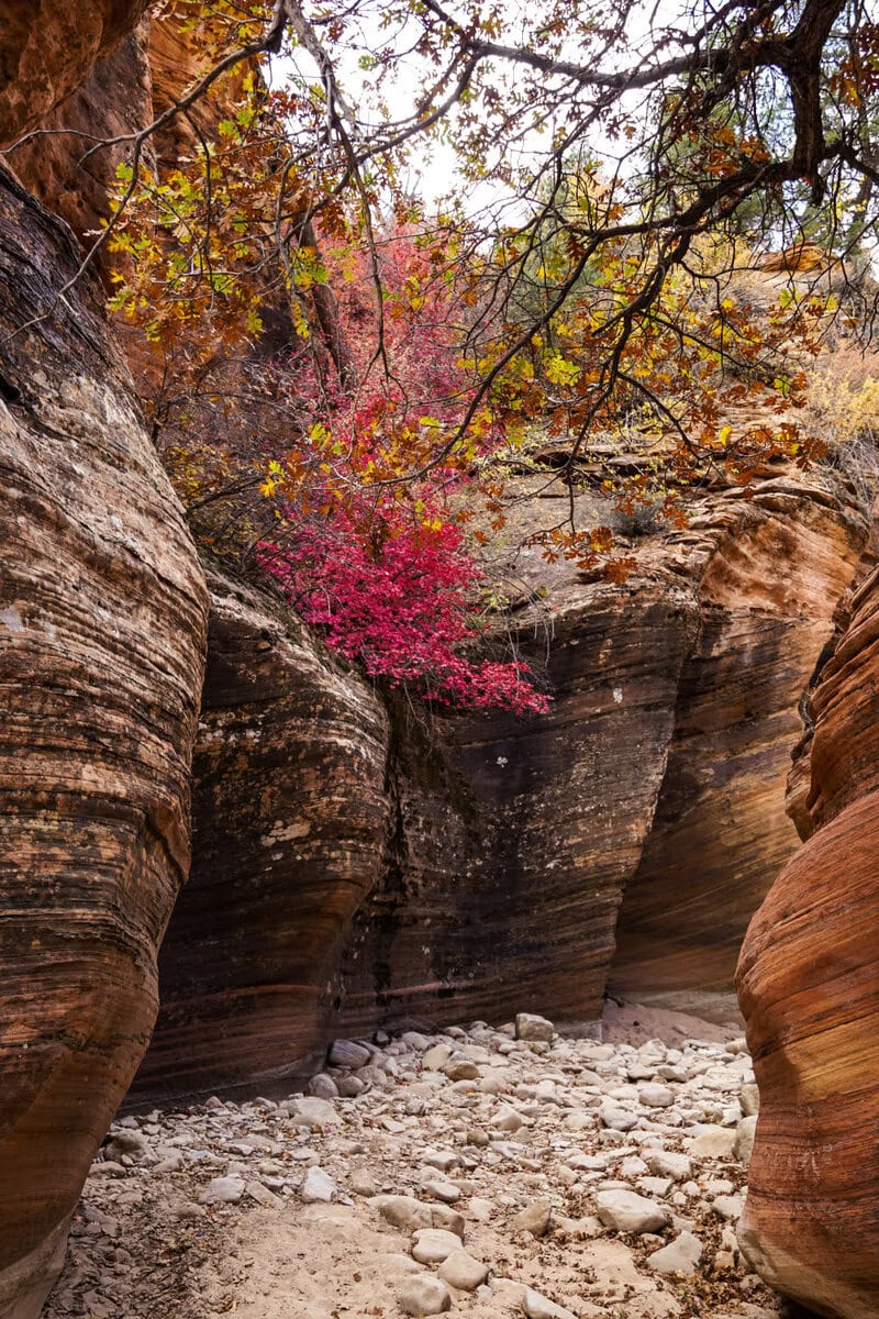 Slot Canyon im Zion Nationalpark