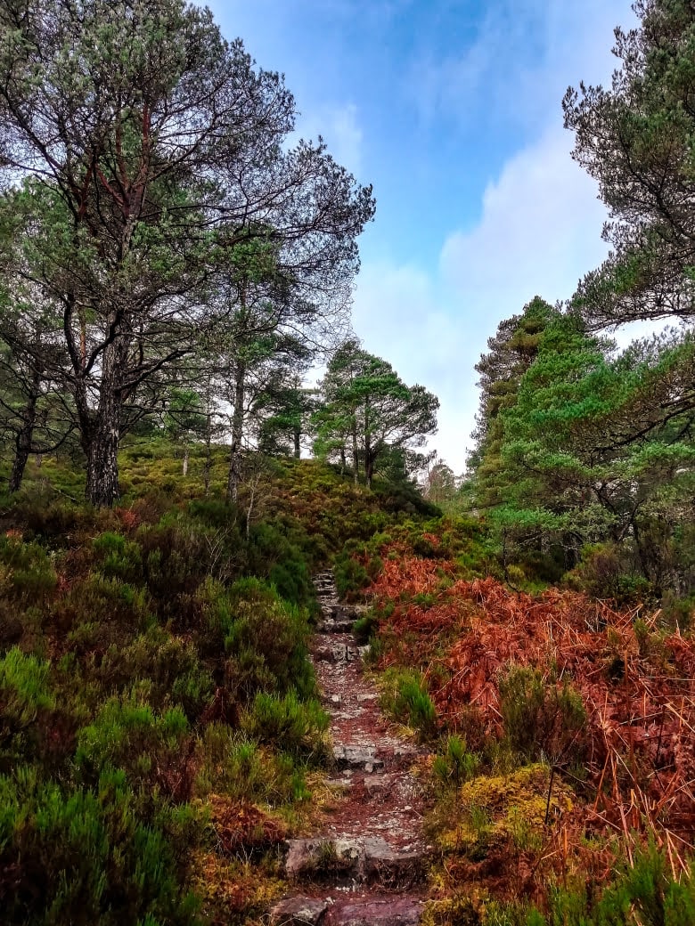 Wanderung in den Highlands auf den Beinn Eighe
