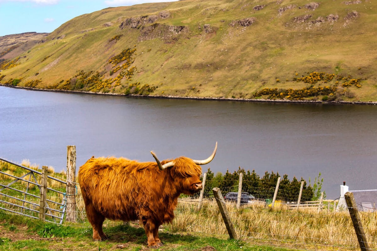 Tipps und Unterkünfte in den Highlands von Schottland