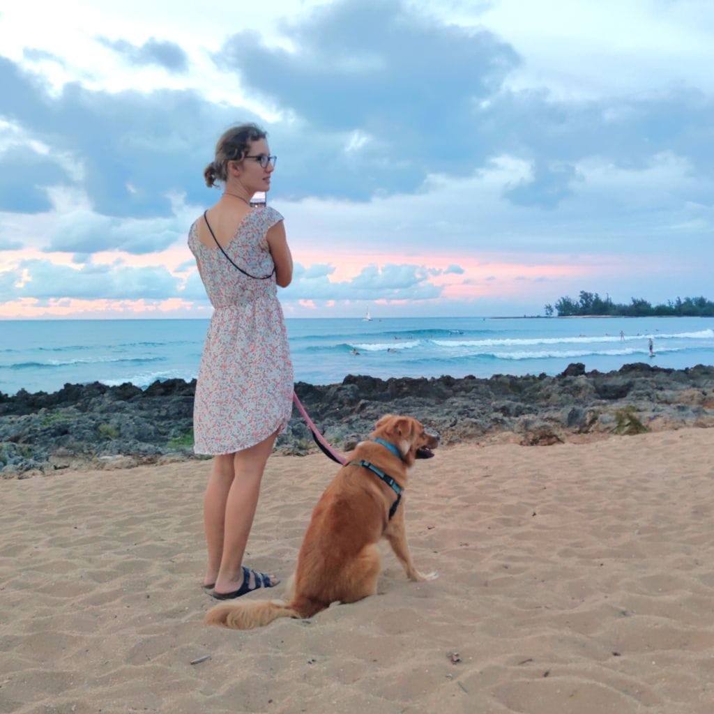 Unsere Erfahrungen mit Housesitting und Petsitting weltweit! Exklusive Einblicke von den Reisekröten!