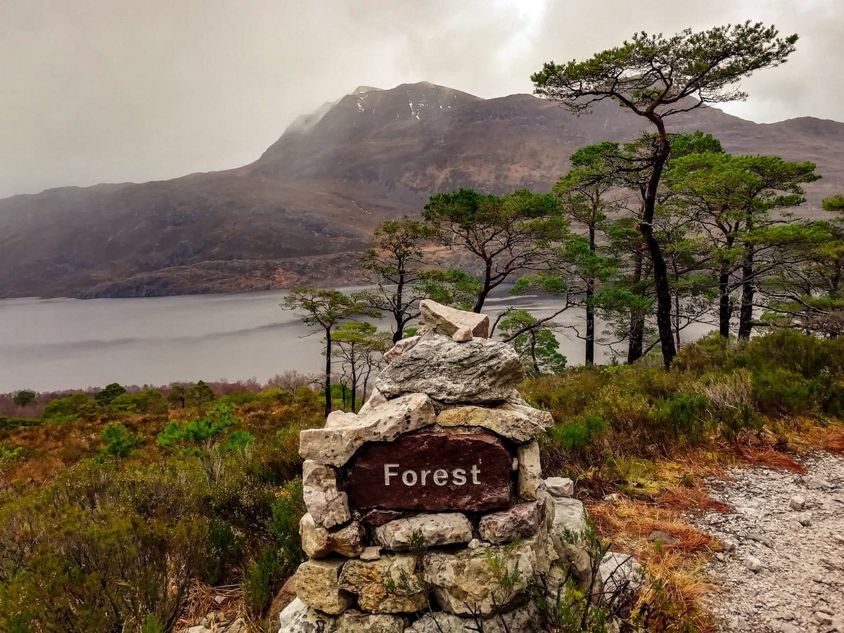 Loch Maree in Schottland: Sehenswürdigkeiten und Wanderungen in den Highlands