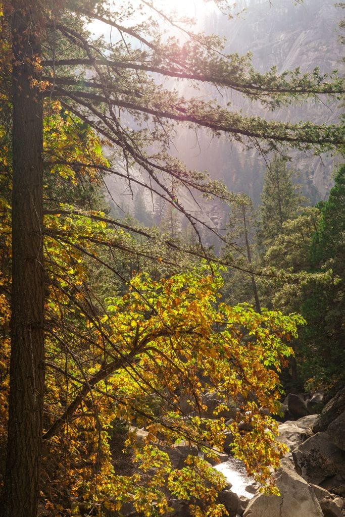 Der Mist Trail im Herbst