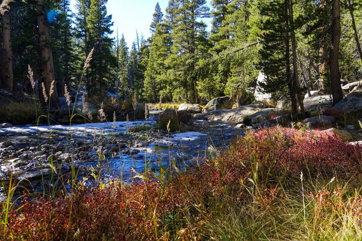 Fluss entlang des Tioga Pass hinunter ins Yosemite Valley