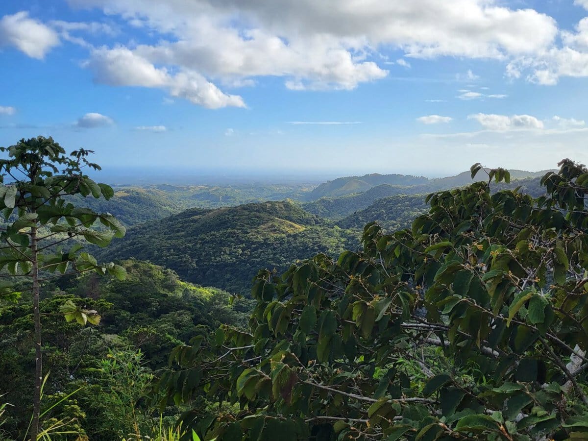 Boquete in Panama: Grün soweit das Auge reicht!