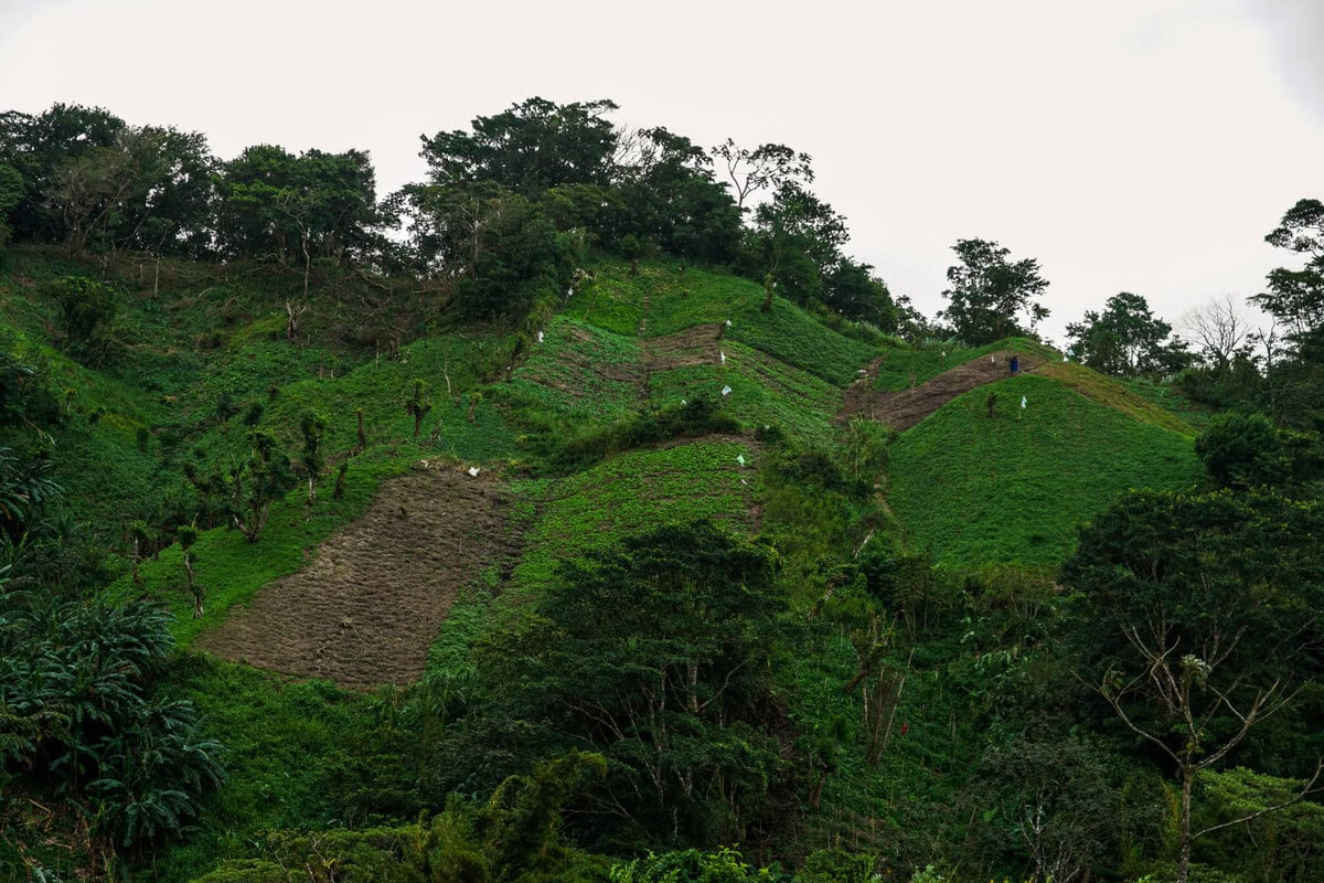 Gemüseanbau in Panama in den Bergen von El Valle de Anton