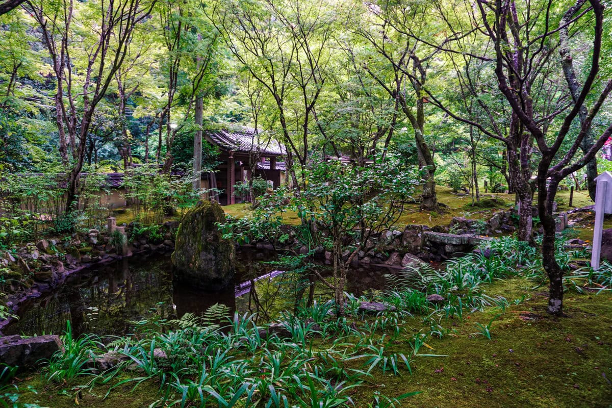 Moos Tempel Gioyi in Arashiyama