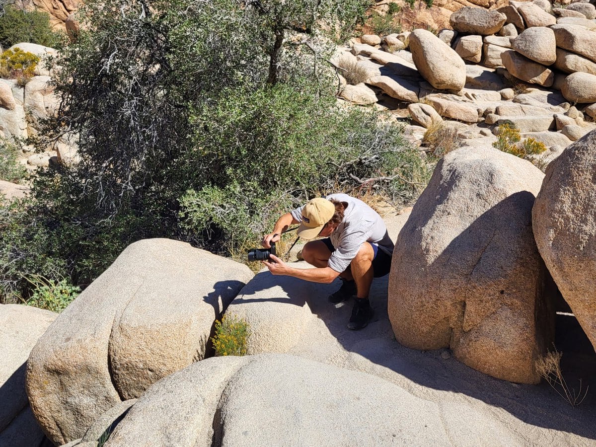 Unsere Erfahrungen im Joshua Tree Nationalpark