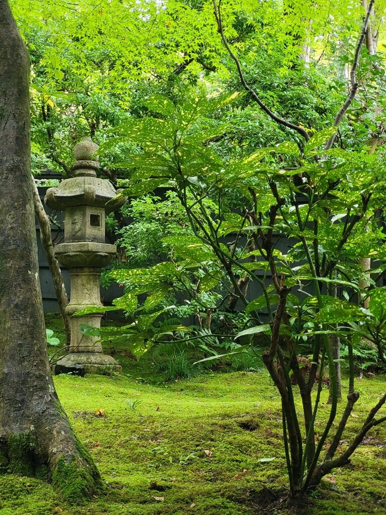 Moos Tempel in Arashiyama