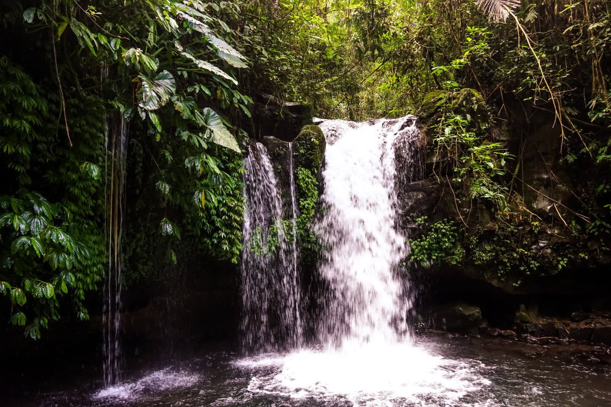 Wasserfall bei den Reisterrassen von Jatiluwih auf Bali