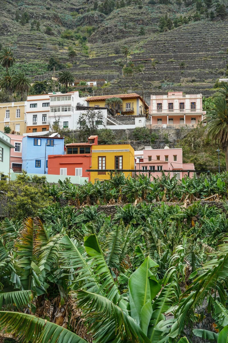 Natur und Obstanbau in Hermigua auf la Gomera