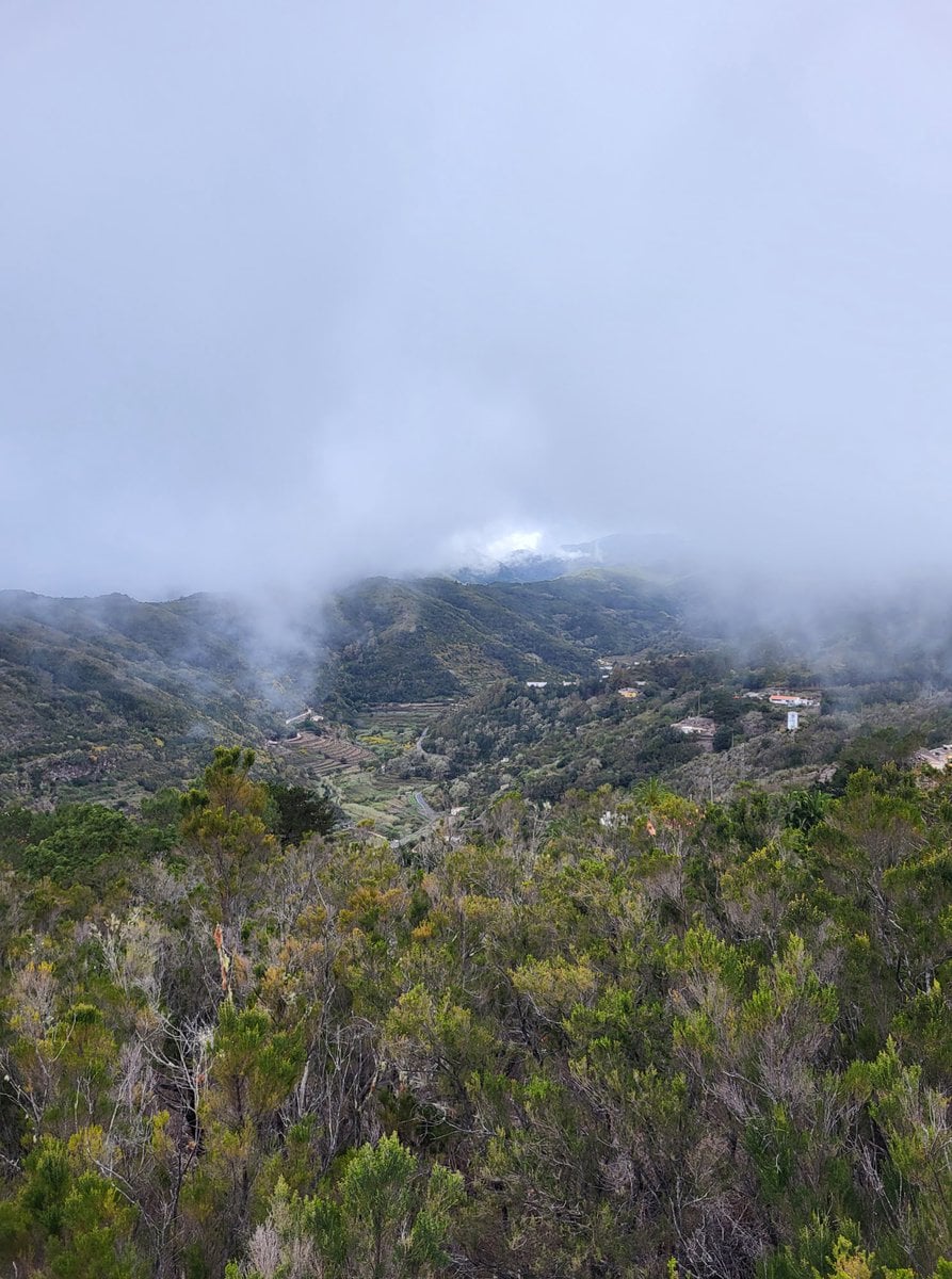 Wolken auf La Gomera auf 1000m Höhe