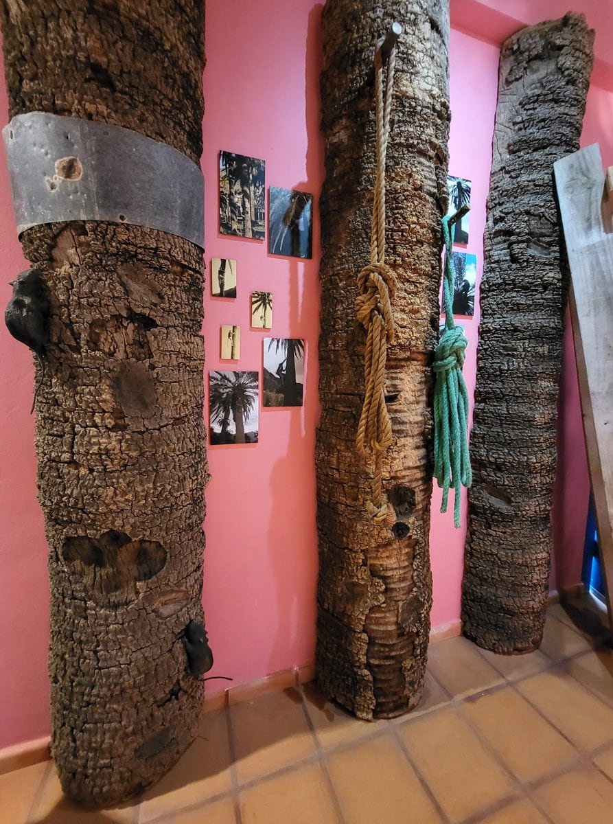 Museum über die Herstellung von Palmenhonig in Alojera