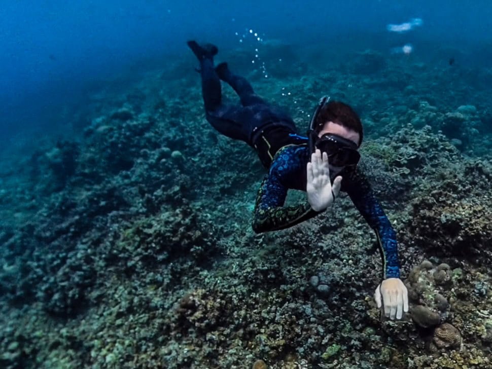 Chris von Reisekröten: Online Sulawesi Reiseberatung