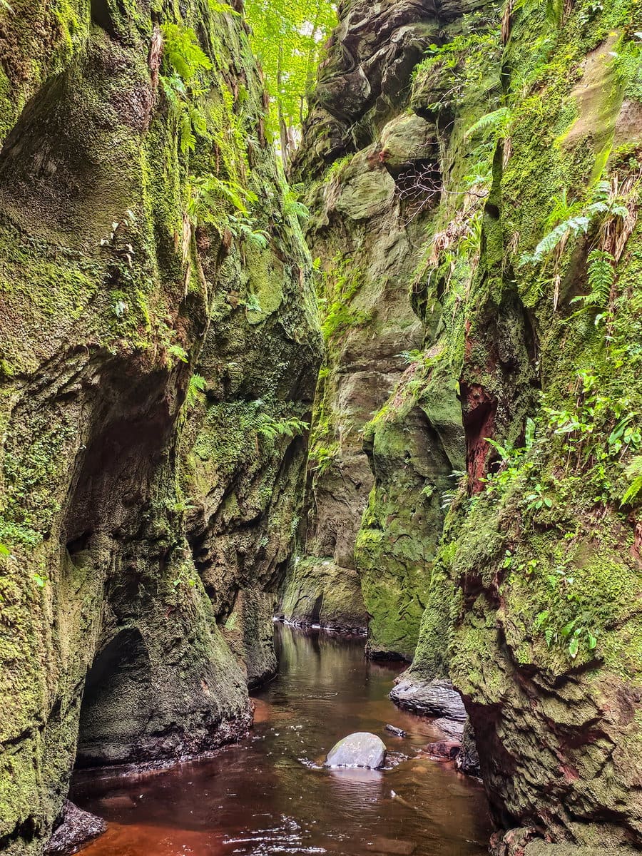 Devils Pulpit im Trossachs Nationalpark als Tagesausflug ab Glasgow