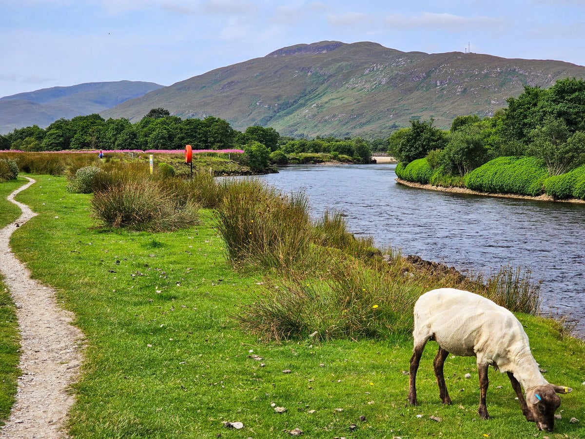 Wandern auf dem Great Glen Way von Fort William nach Inverness