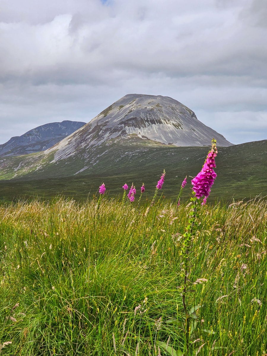 Landschaft Insel Jura in Schottland