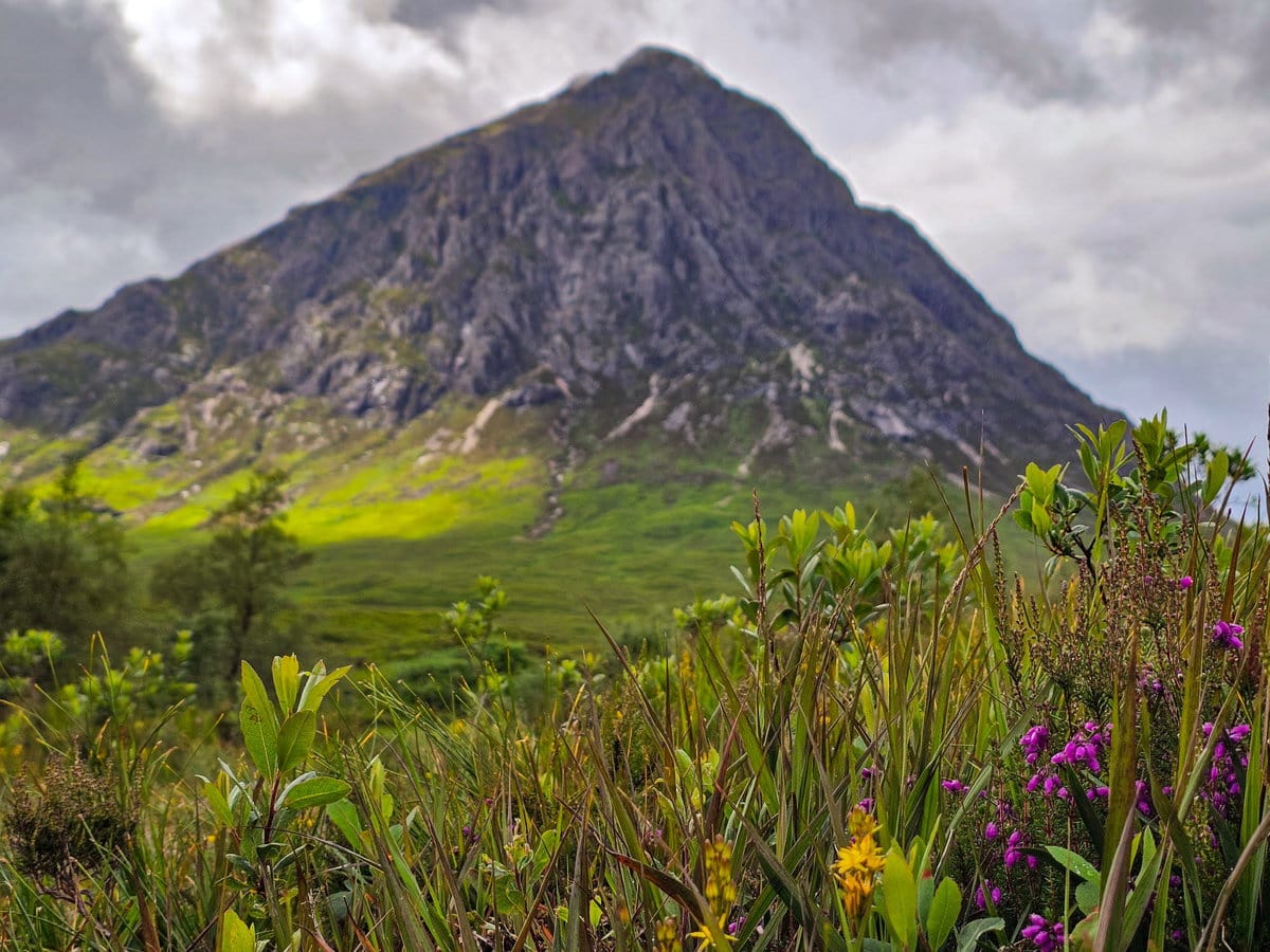 Midges treten in den Highlands von Schottland auf